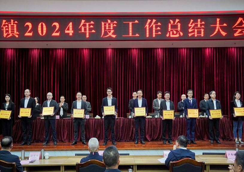 双项殊荣！988pay钱包电声荣登石排镇2024年度“双十强”榜单